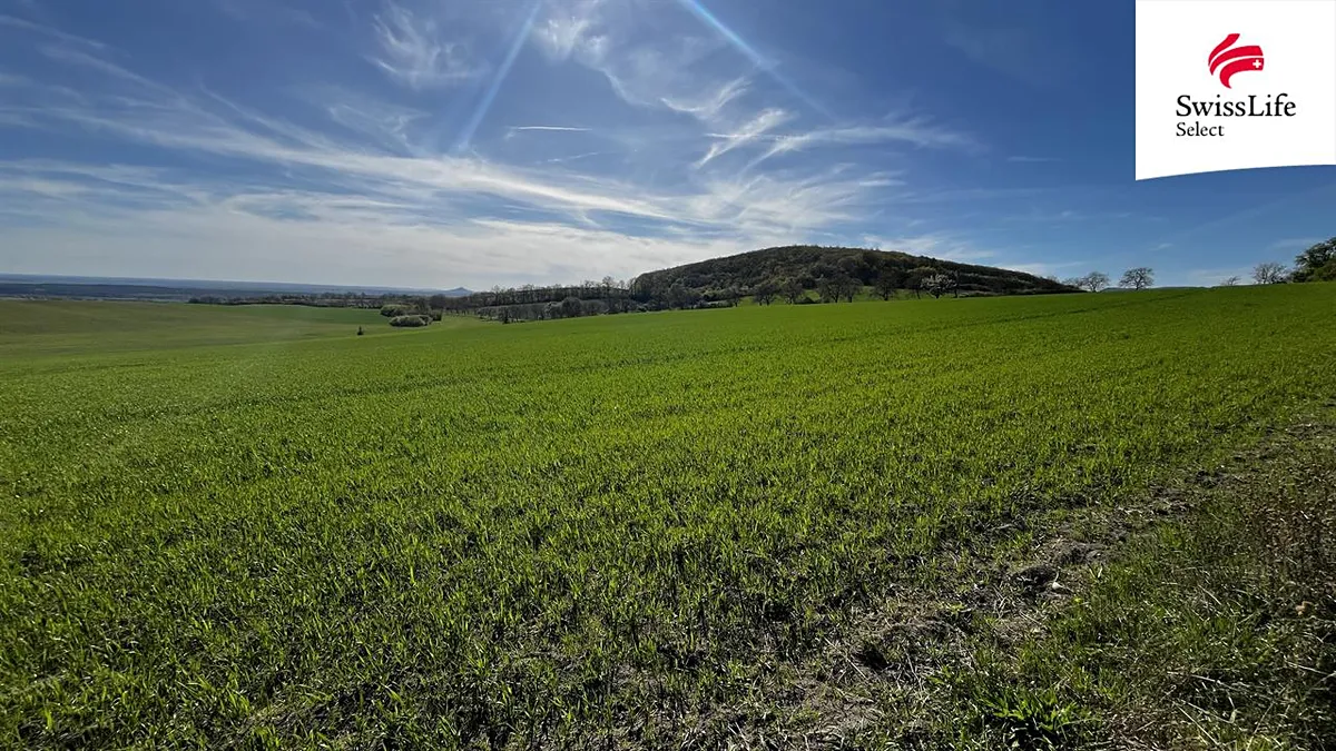 Prodej pole 38675 m²
